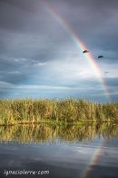 Al final del arcoíris