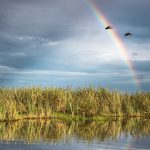 Al final del arcoíris