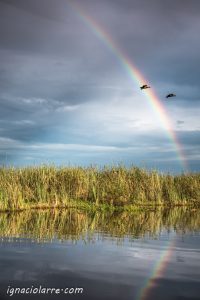 Al final del arcoíris