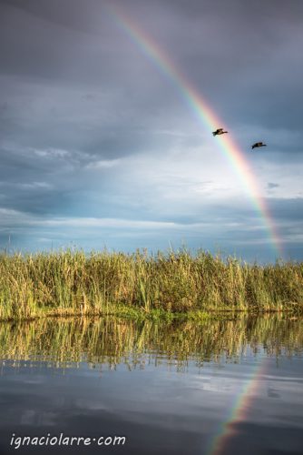 Al final del arcoíris