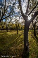 Cuando las palabras no alcanzan