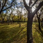 Cuando las palabras no alcanzan