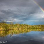 En mis sueños te espero