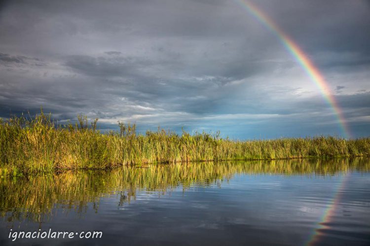 En mis sueños te espero