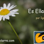 Es ella - Canción propia