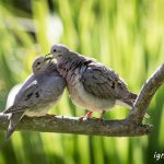 ¡Más amor por favor!