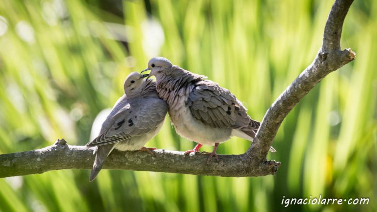 ¡Más amor por favor!