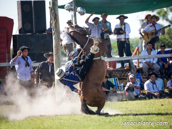 Paso de los Libres- Festival de Doma y Folklore 2017