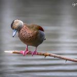 ¡Por favor, no me despierten!