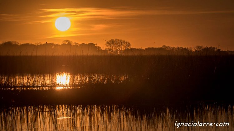 ¿Qué es lo importante?