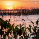 Solo una cuestión de perspectiva