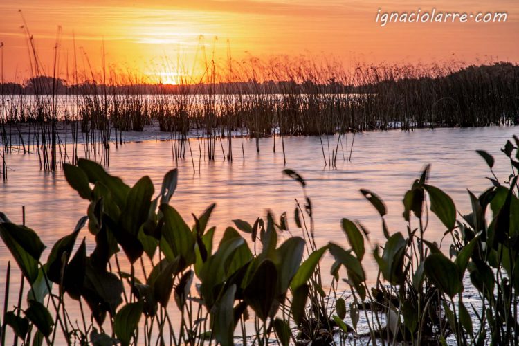 Solo una cuestión de perspectiva