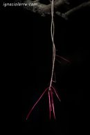 Una luz en las sombras