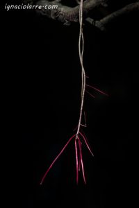 Una luz en las sombras