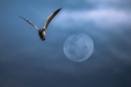 Buscando traspasar las fronteras de mi imaginación