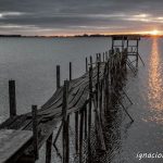 El amor es la única salida