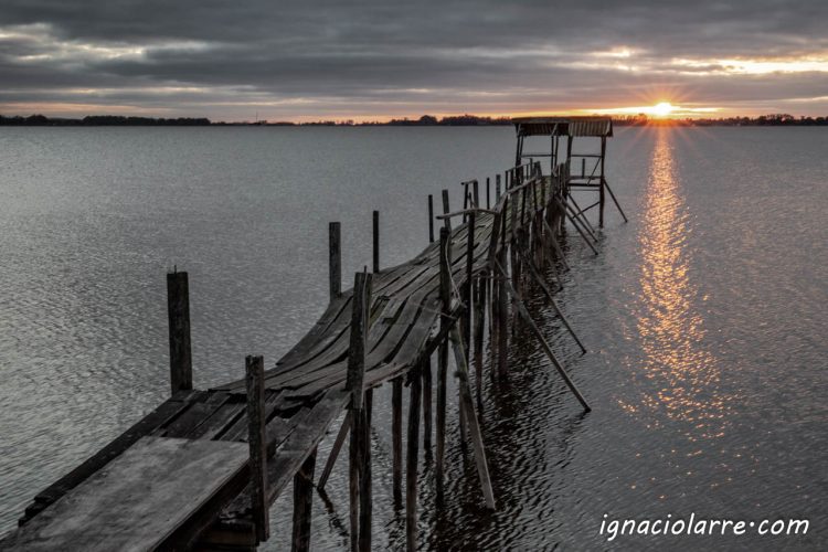 El amor es la única salida
