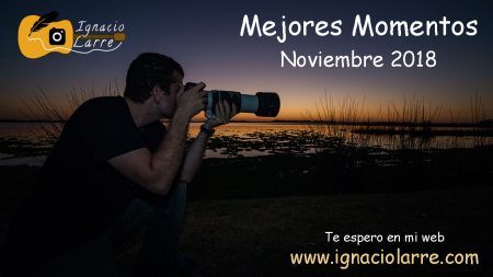 Mejores momentos – Noviembre 2018