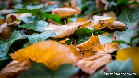 ¡Vaya manera de recordarla!