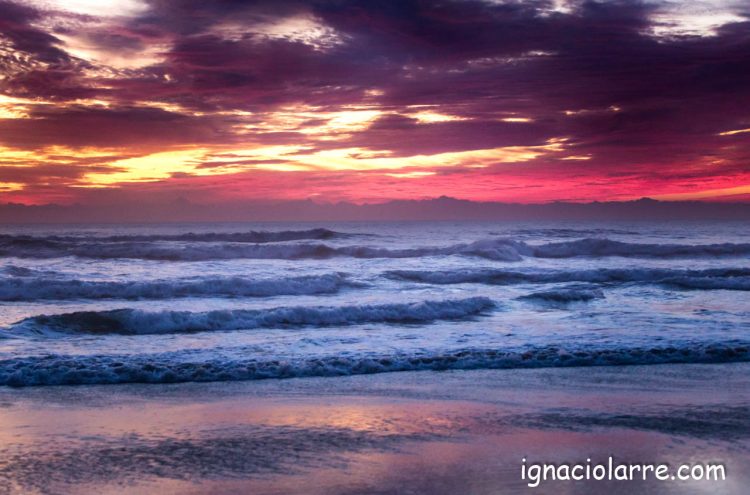 Mis deseos para tu Año Nuevo